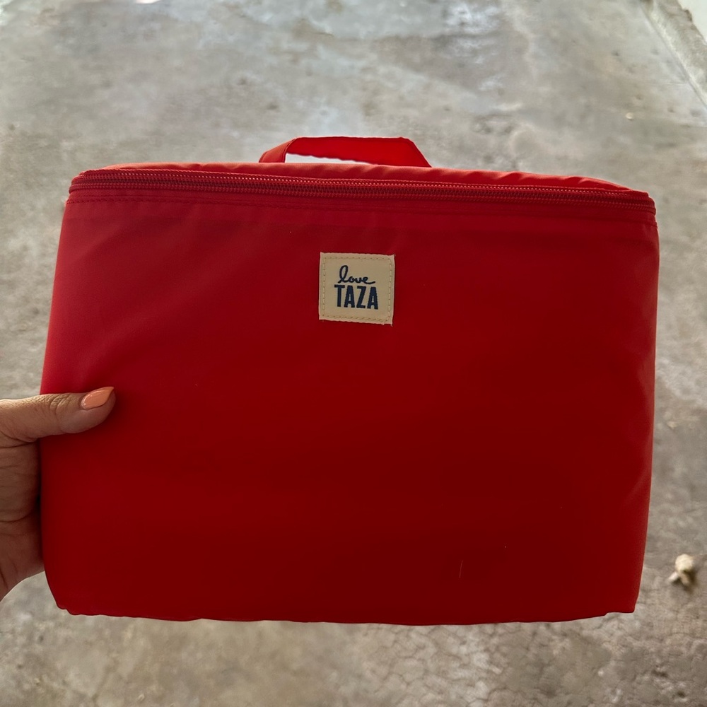 Target x Love Taza travel camera case
